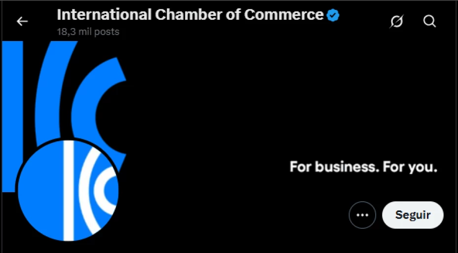 camara internacional comercio.png