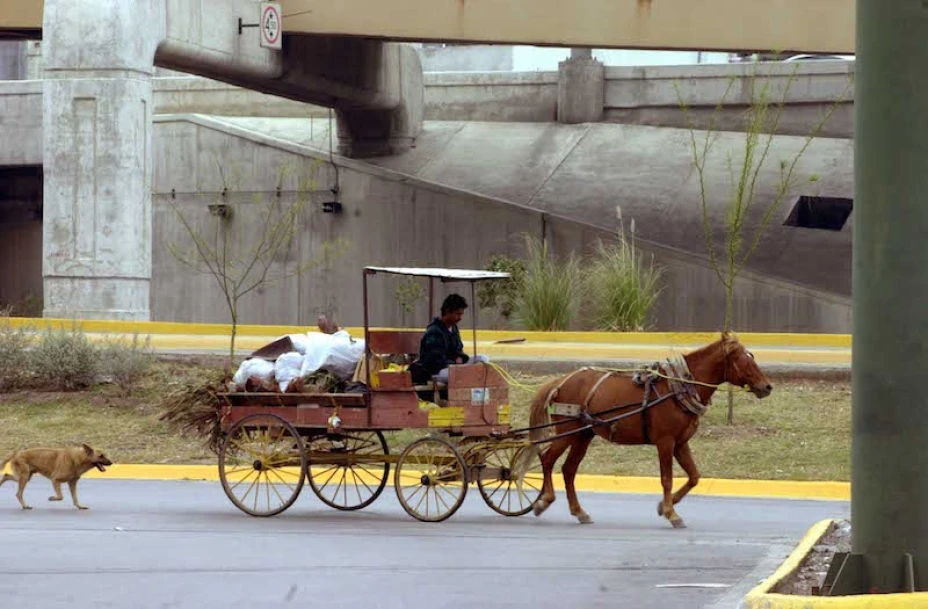 Desarrollo urbano