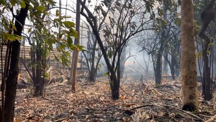 Explosión-en-planta-clandestina-de-combustible-sacude-a-Tabasco