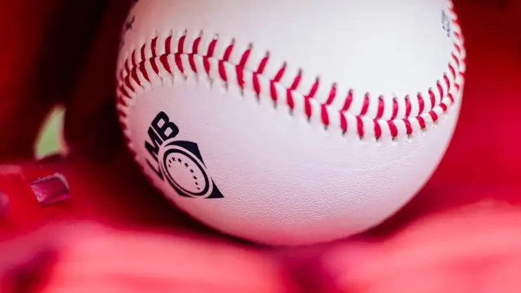 El PRECIO MÍNIMO de boletos que tendrás que pagar para ver a los Leones de Yucatán vs Tigres de Quintana Roo.