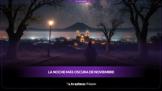 Esta será la noche ideal para ver miles de estrellas: fecha exacta y detalles