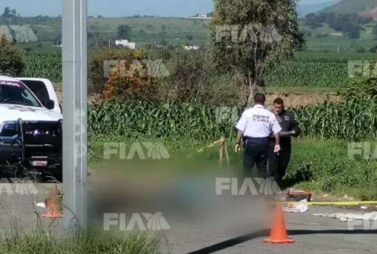 codncutor muerto san pedro cholula calpan