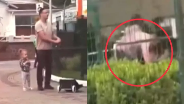 Hombre apuñala a comerciante por patear a su hija