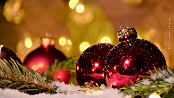 ¿Por qué es recomendable no usar musgo para tus adornos navideños?