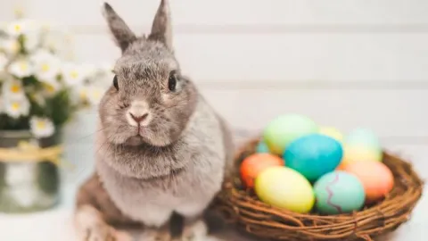 Huevos de Pascua cuentan con diversas tradiciones a lo largo del mundo