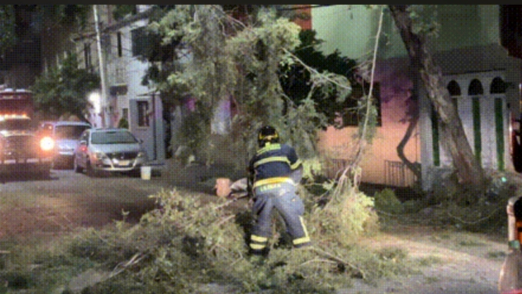 Mientras-dormía-caos-por-tormenta-en-la-CDMX-árboles-caídos-y-accidentes-viales