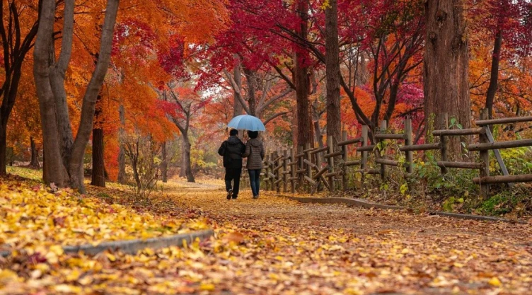 otoño-2021.jpg