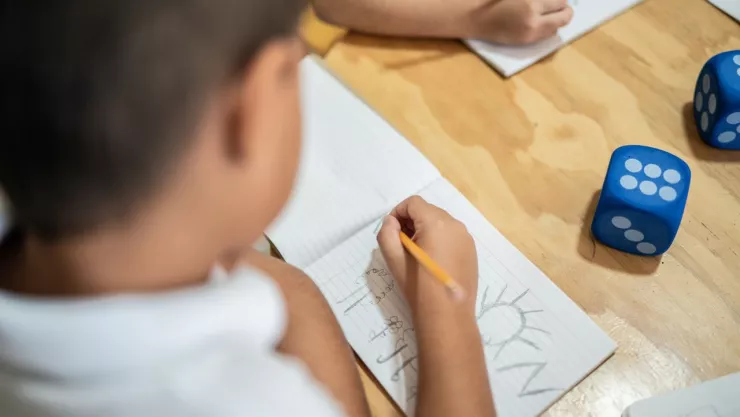 Beca Leona Vicario en México