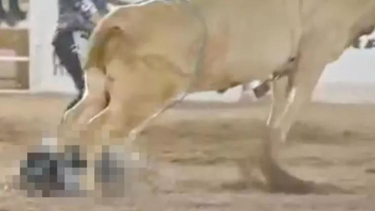 Toro le quita la vida a un joven de 21 años en Chihuahua..jpg