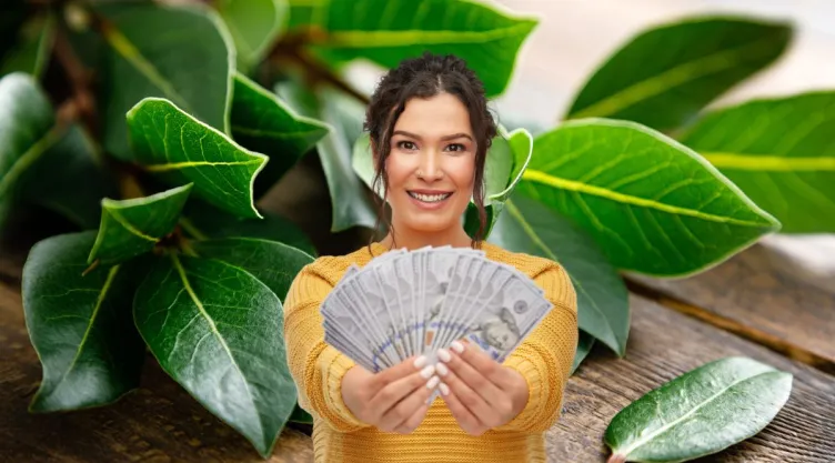 Cómo usar una hoja de laurel para atraer abundancia el próximo 31 de octubre