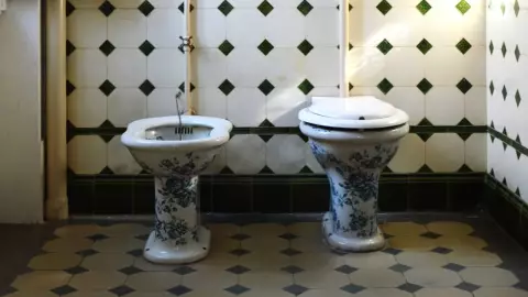 metodos para sustituir el papel de baño