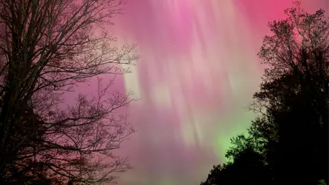 ¿Se verán hoy 12 de noviembre las auroras boreales en Aguascalientes por la tormenta solar