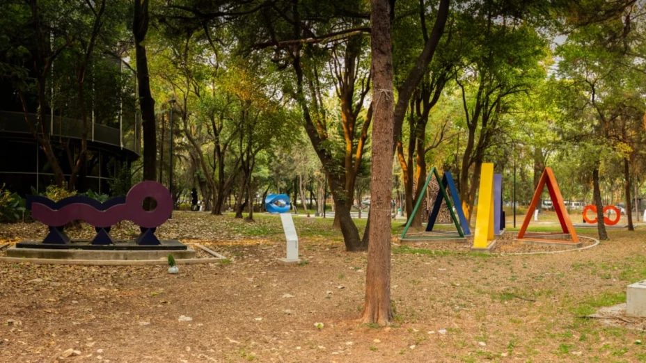 Actividades en el MAM y Museo Tamayo