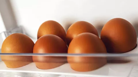 Contagio de salmonella por huevo contaminado