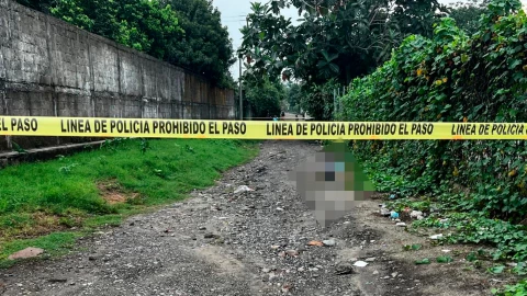 Localizan cuerpos sin vida