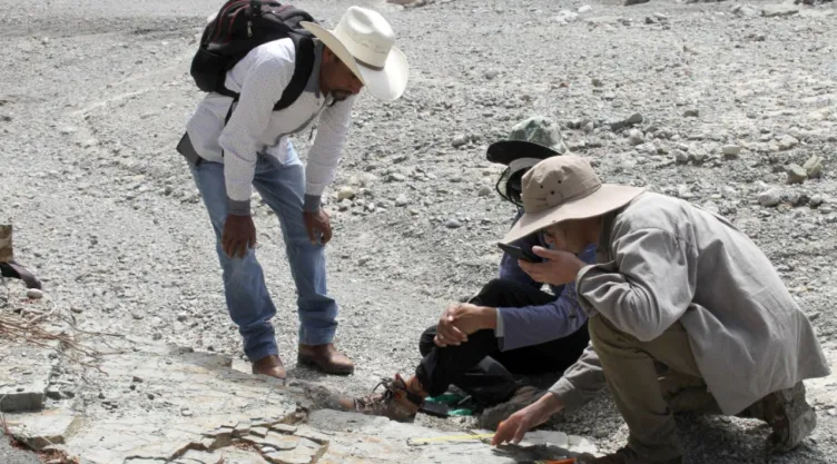 Huellas de dinosaurios en Puebla: descubren rastros de hace 132 millones de años
