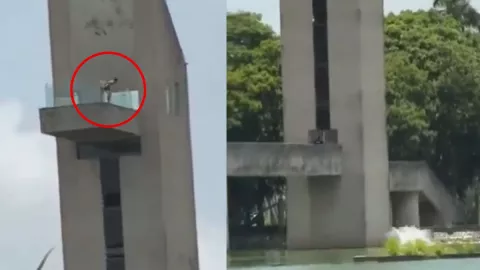 Laguna llena de cocodrilos