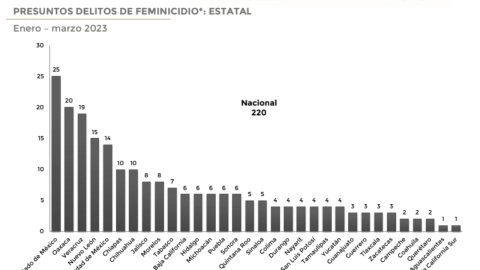 Feminicidios grafica