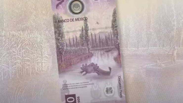 Este es el billete mexicano por el que dan hasta 7 millones de pesos