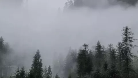 CONAGUA alerta por bancos de niebla y bajas temperaturas en Puebla hoy lunes: afectaciones en zonas serranas