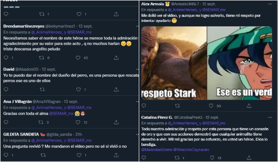 comentarios marino perro Chiquihuite.jpg