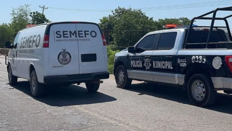 Semefo carretera