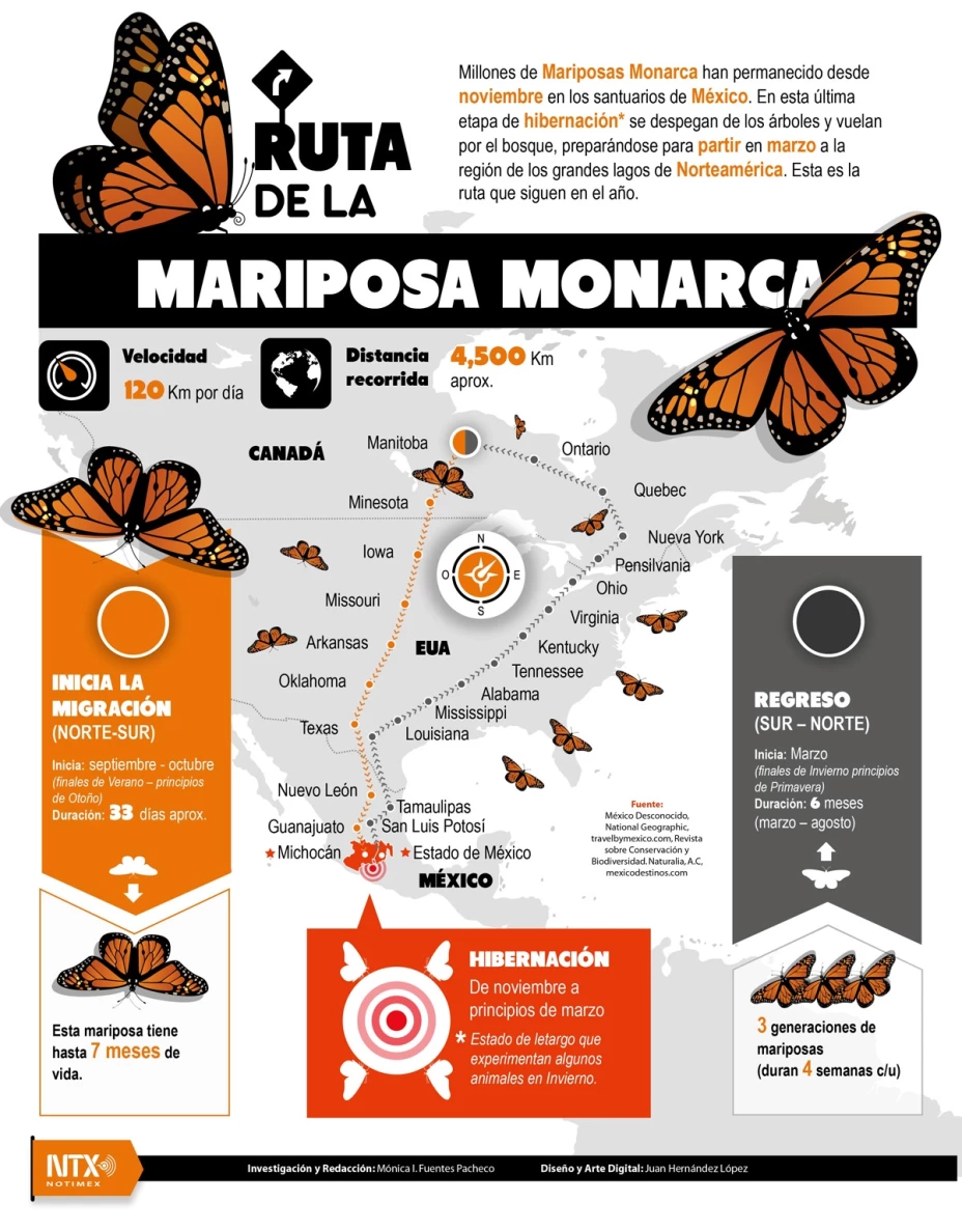 rutamariposa.jpg