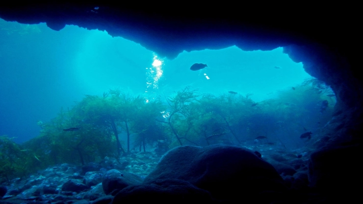 Por-qué-al-Golfo-de-California-se-le-llama-Mar-de-Cortés
