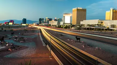  Tiroteo en autopista de Las Vegas 