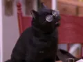 salem-saberhagen-sabrina-la-bruja-adolescente