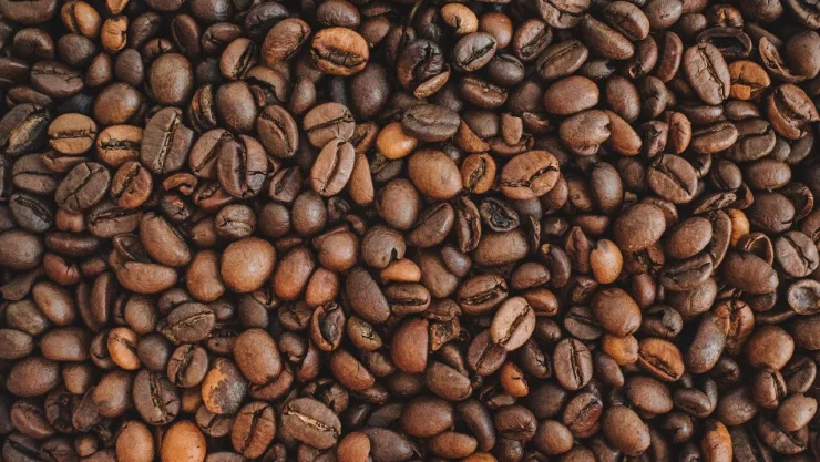 cafe-veracruz-denominacion-origen-famoso