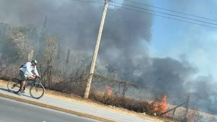 Se registra incendio de pastizal sobre el bulevar Hidalgo, en León, hoy 29 de noviembre: esto sabemos