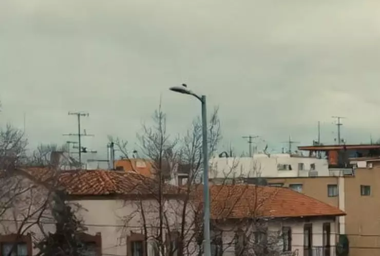 ¡Alerta heladas de -5° grados! ¿Dónde Así el pronóstico del clima en Guanajuato por municipios hoy domingo 4 de enero.jpg