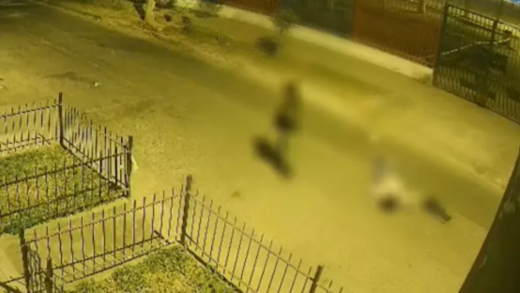 Doble asesinato en Los Ébanos: madre e hija mueren acuchilladas por menores de edad