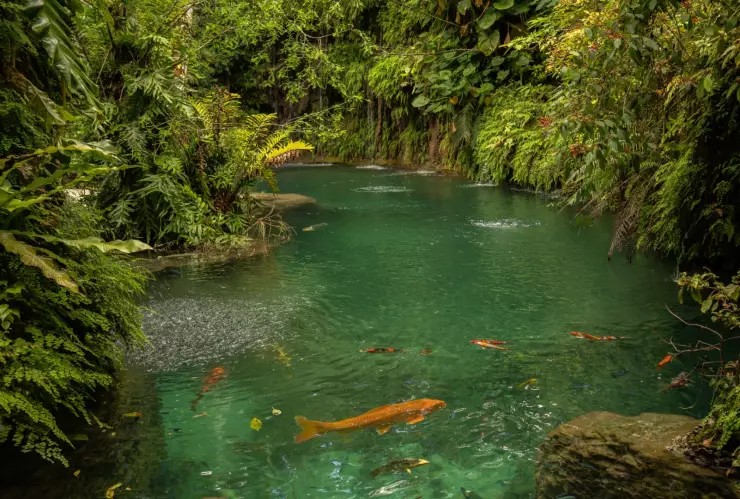 el paisaje que deslumbra en Patch of Heaven Sanctuary.