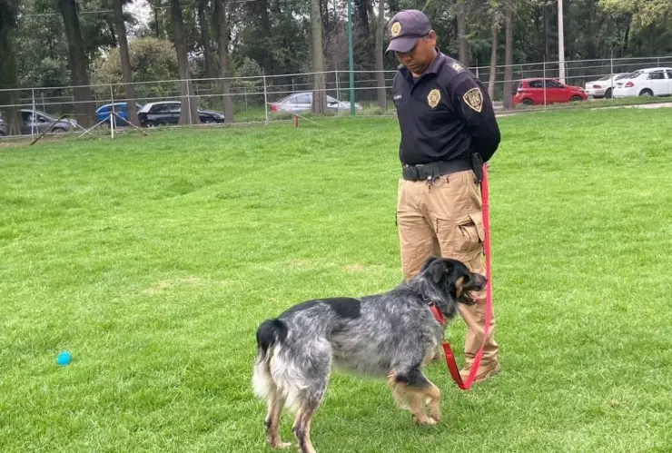 Rescatan perrito en alcaldia Venustiano Carranza de la CDMX
