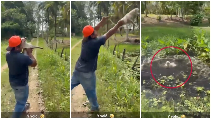 Graban a sujeto lanzando a laguna en Tabasco a un perro que al parecer murió.