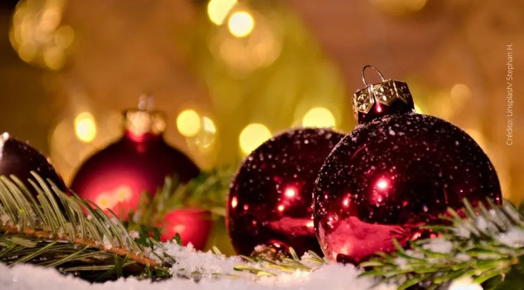 ¿Por qué es recomendable no usar musgo para tus adornos navideños?