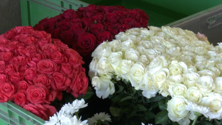 rosas