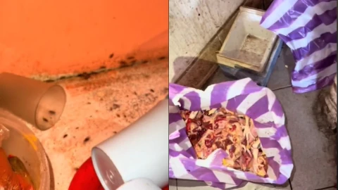 cucarachas-bolivia-video-tiktok