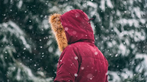 Portada - 2025-12-21T110741.224.png