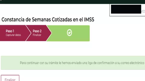 Constancia de Semanas Cotizadas