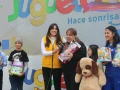 Nadie quiere que los niños de México se queden sin juguetes este 6 de enero