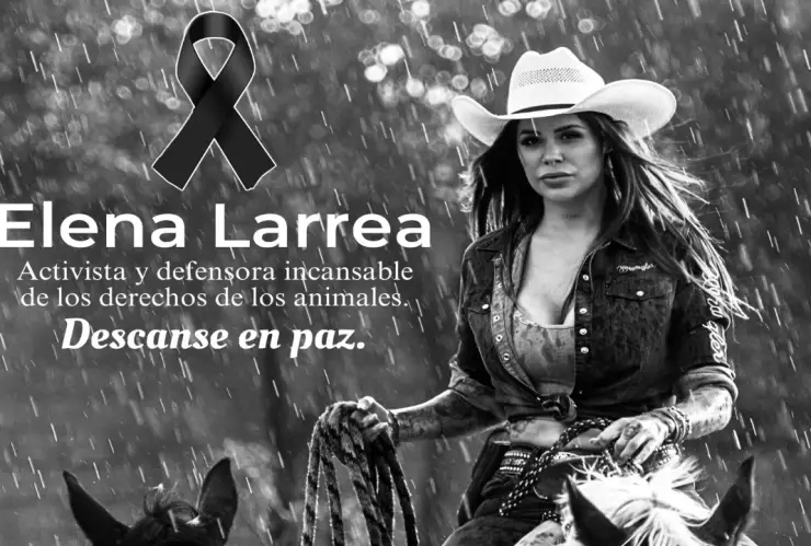 Muere-Elena-Larrea-activista-y-fundadora-de-Cuacolandia
