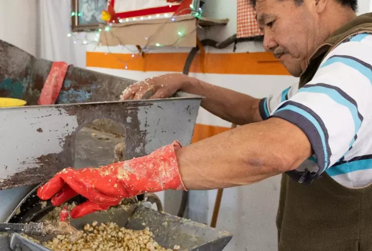 Día de la Calendaria en México