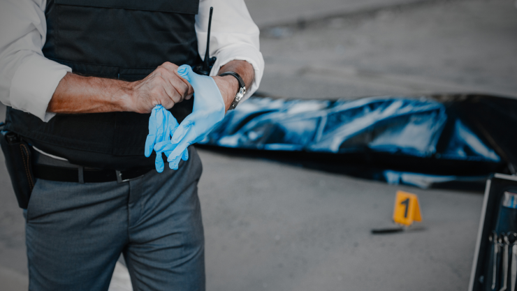 Restos humanos en Celaya y Juventino Rosas, 26 de diciembre de 2024.png