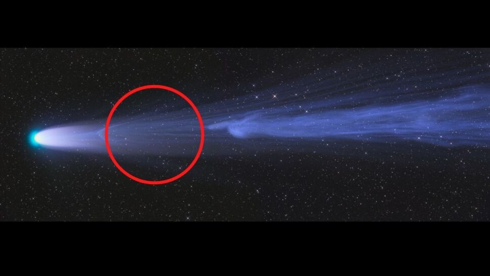Cometa Leonard, desapareció, Navidad 2.jpg