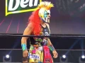 Lucha Fighter