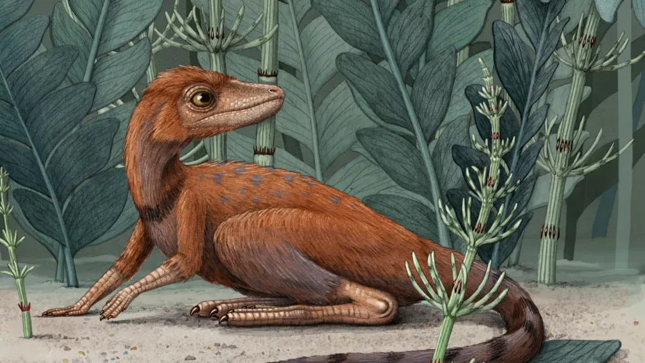 Dinosaurio_AP.jpg