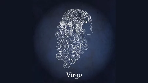 Signo Virgo 3
